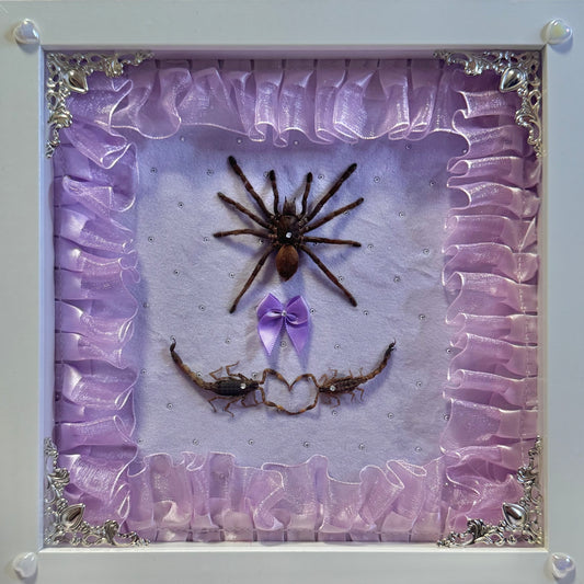 Tarantula And Scorpion Lovers On Purple