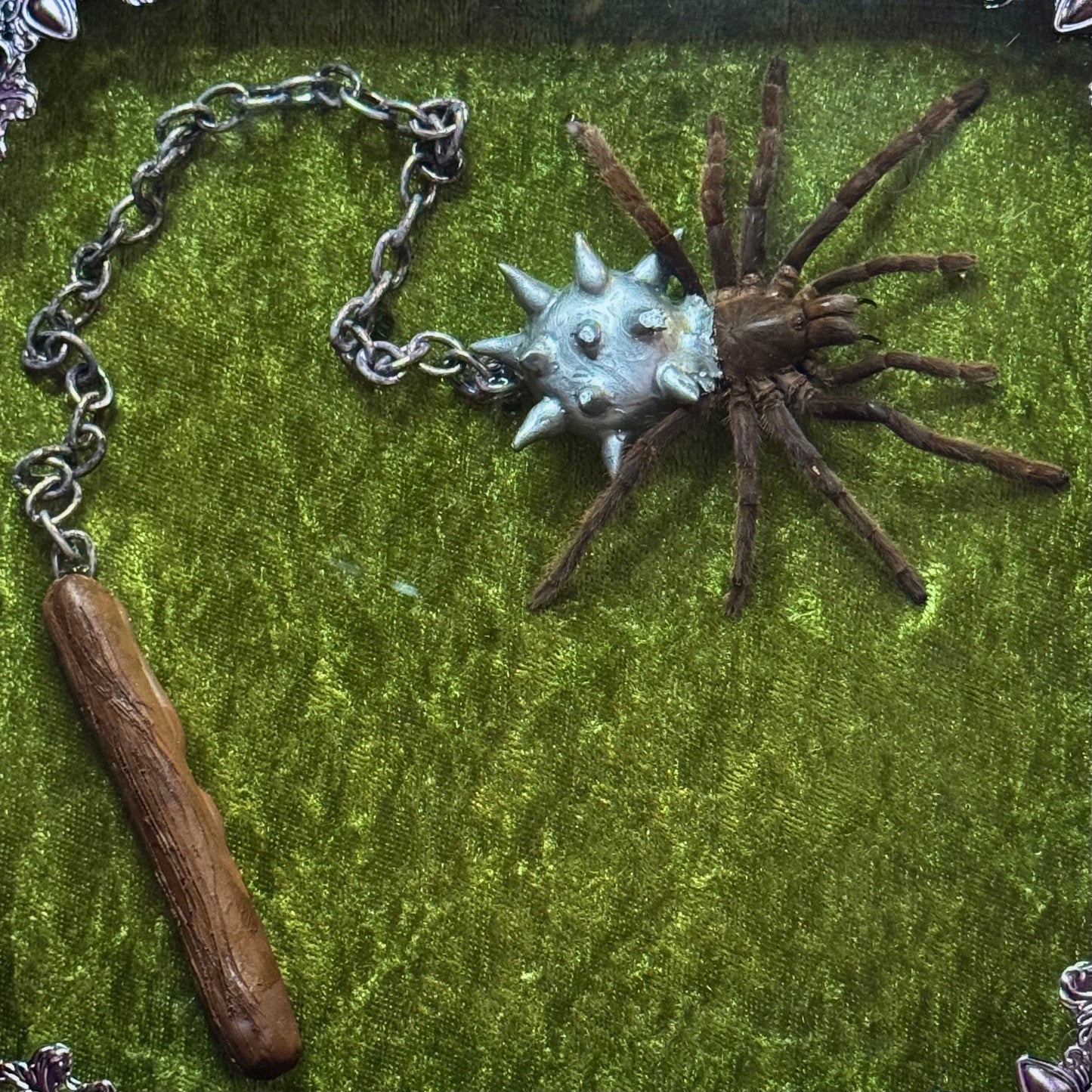 The Flail Tarantula