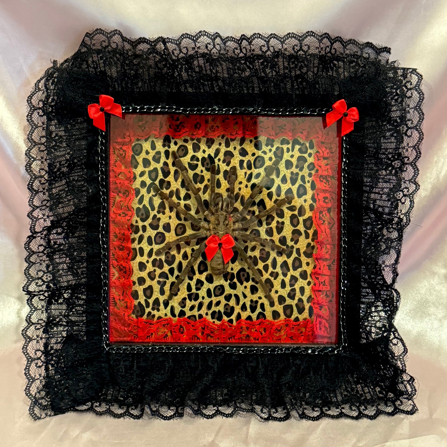 Tarantula on Cheetah Print