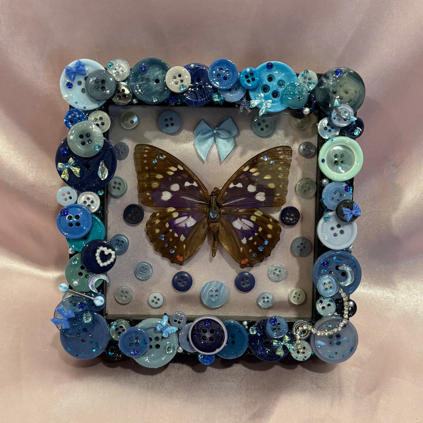 Japanese Emperor Butterfly Button Baby