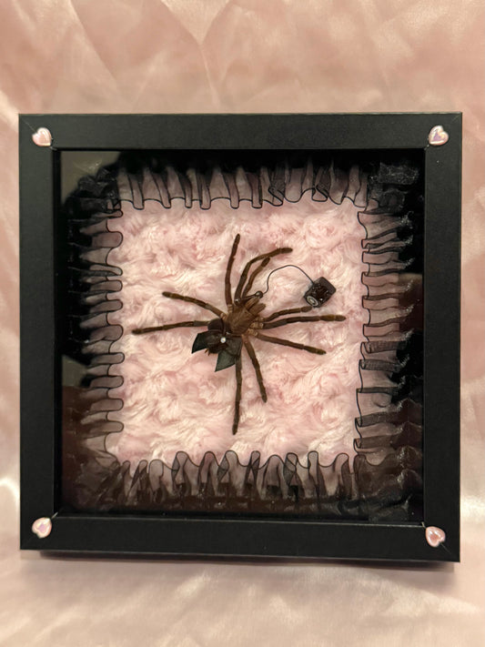 Hello? On The Phone Tarantula - Black