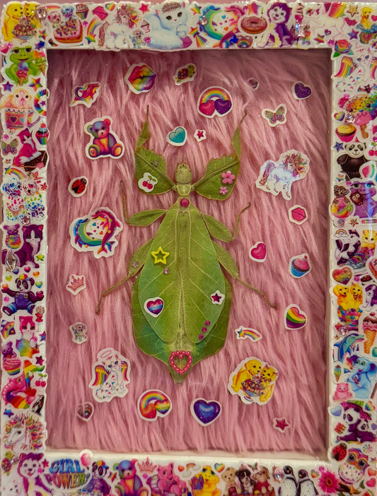 The Sticker Book Green Leaf Insect