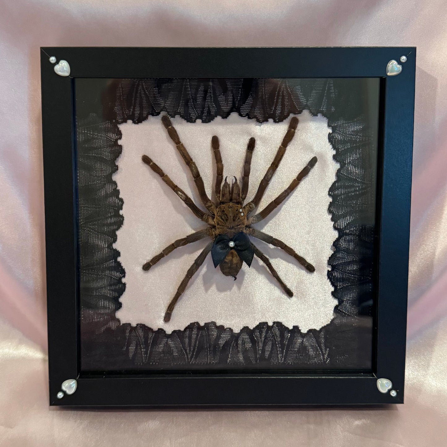 Tarantula on Pink Silk - Black Frame