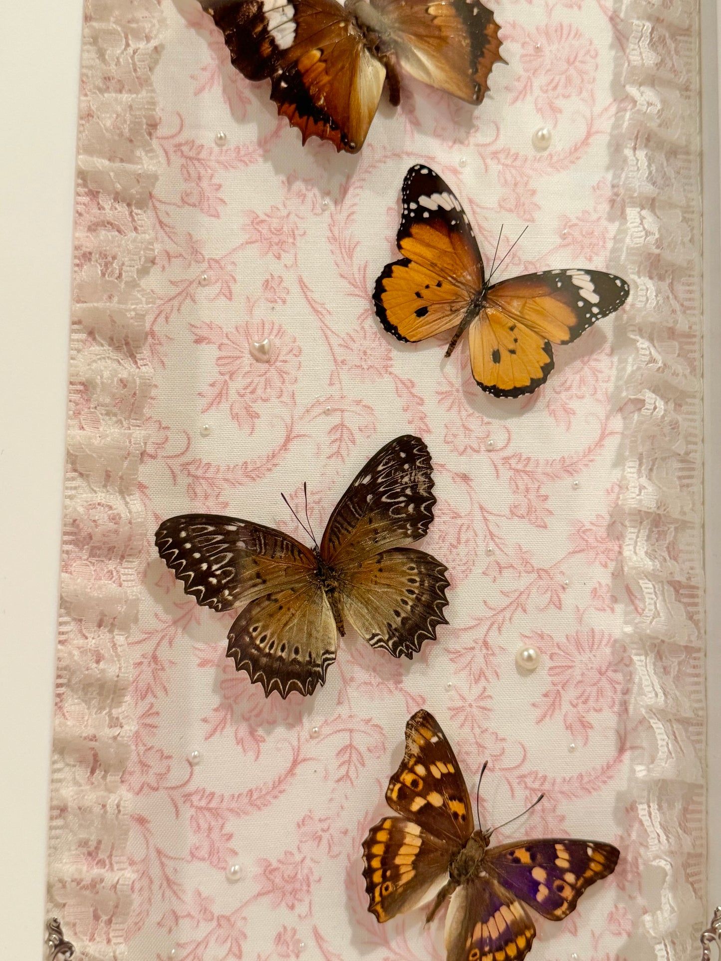 Butterflies In Flight