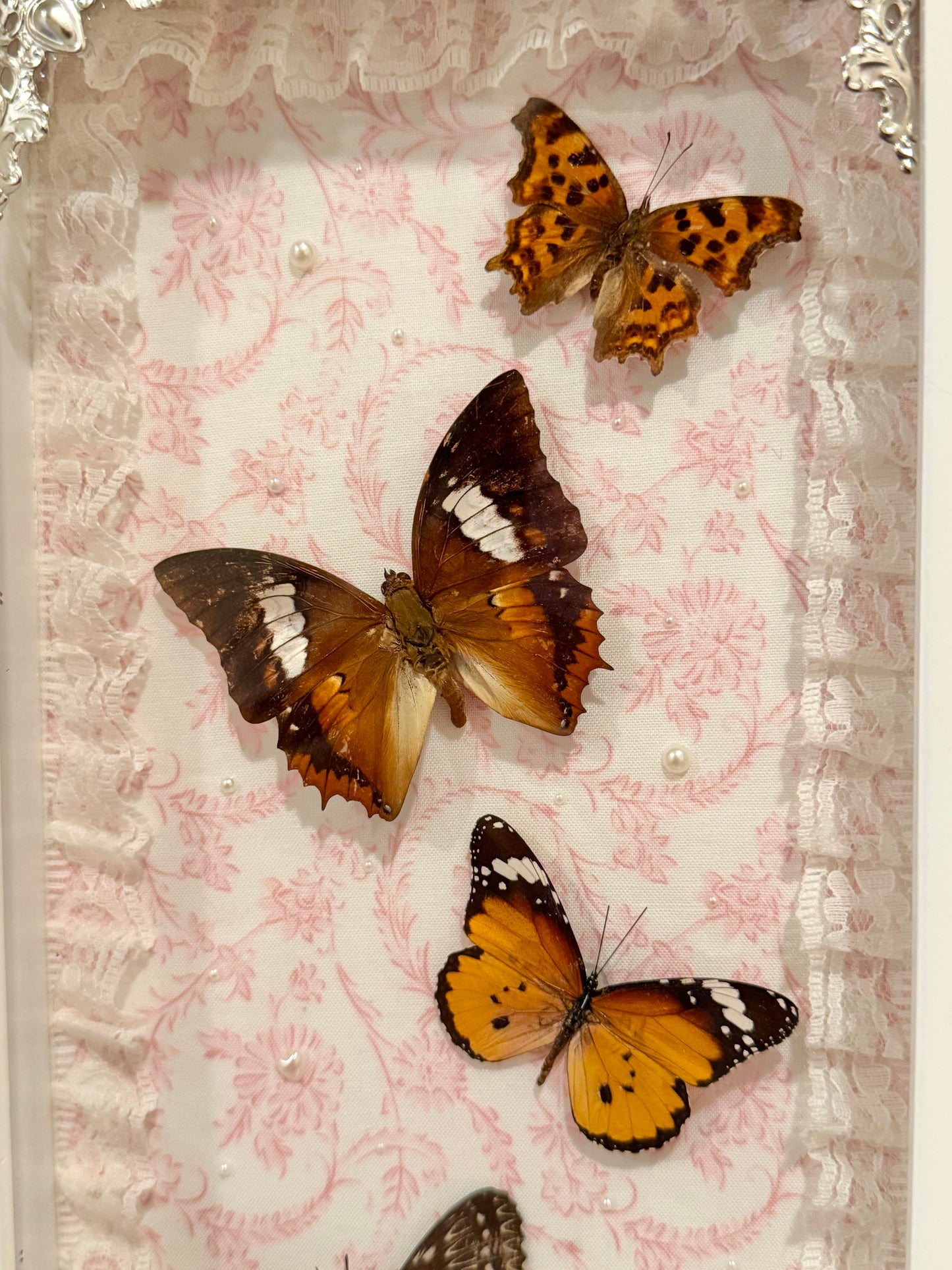 Butterflies In Flight