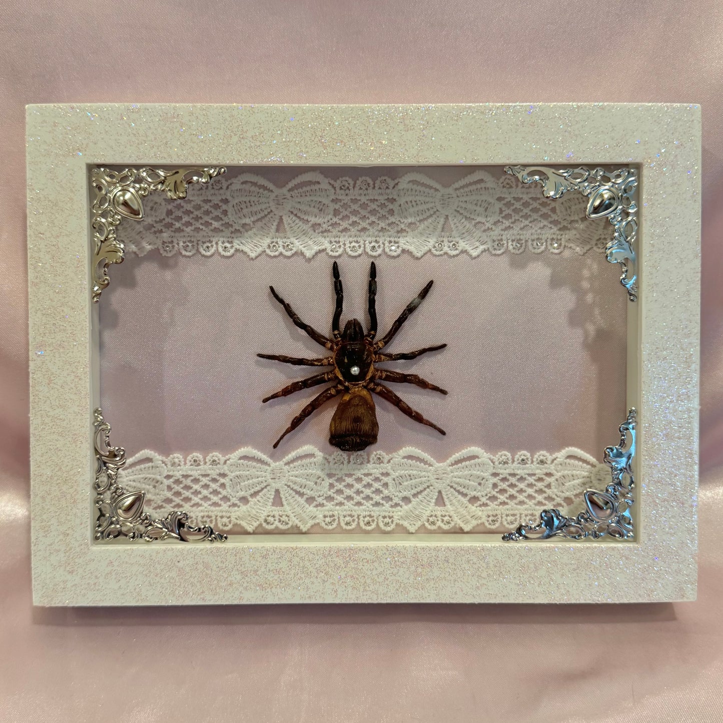 Trapdoor Spider on Pink Silk - Sparkle Frame