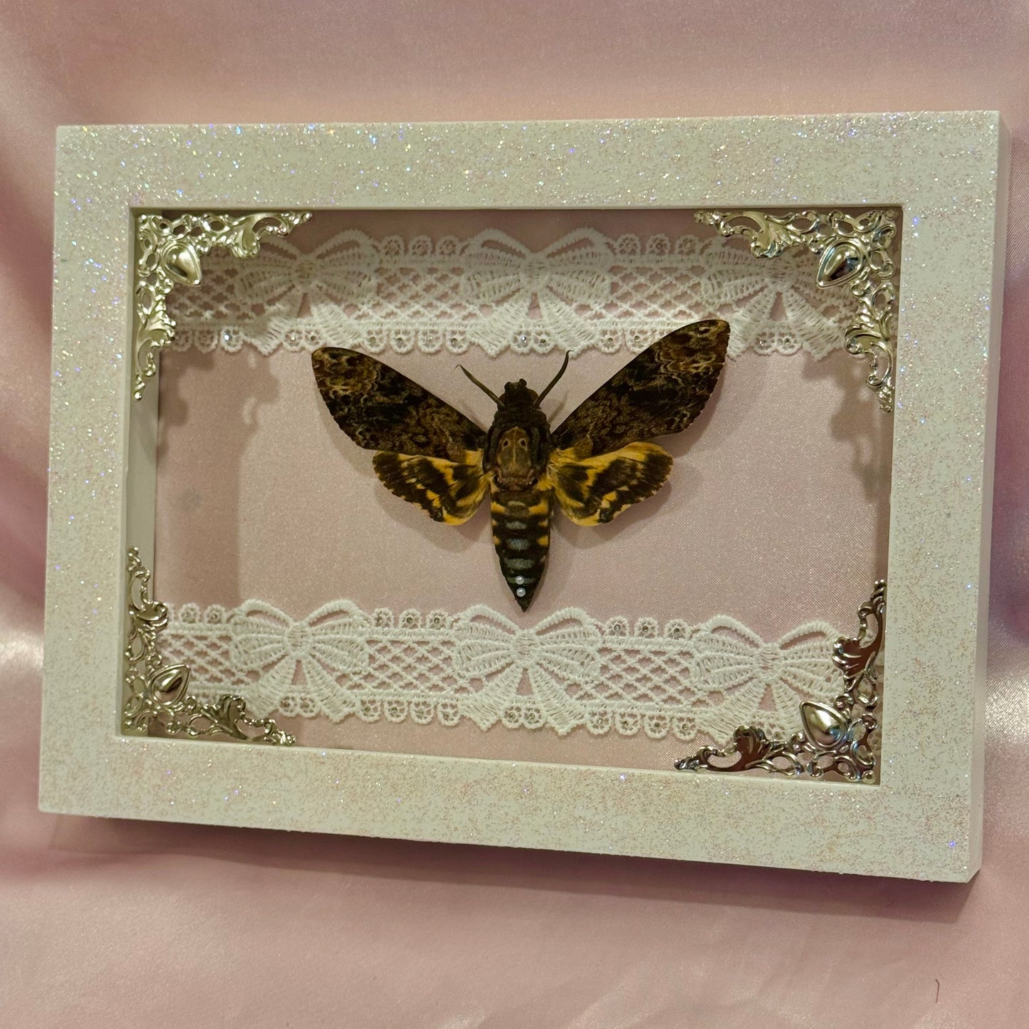 Death Moth on Pink Silk - Sparkle Frame