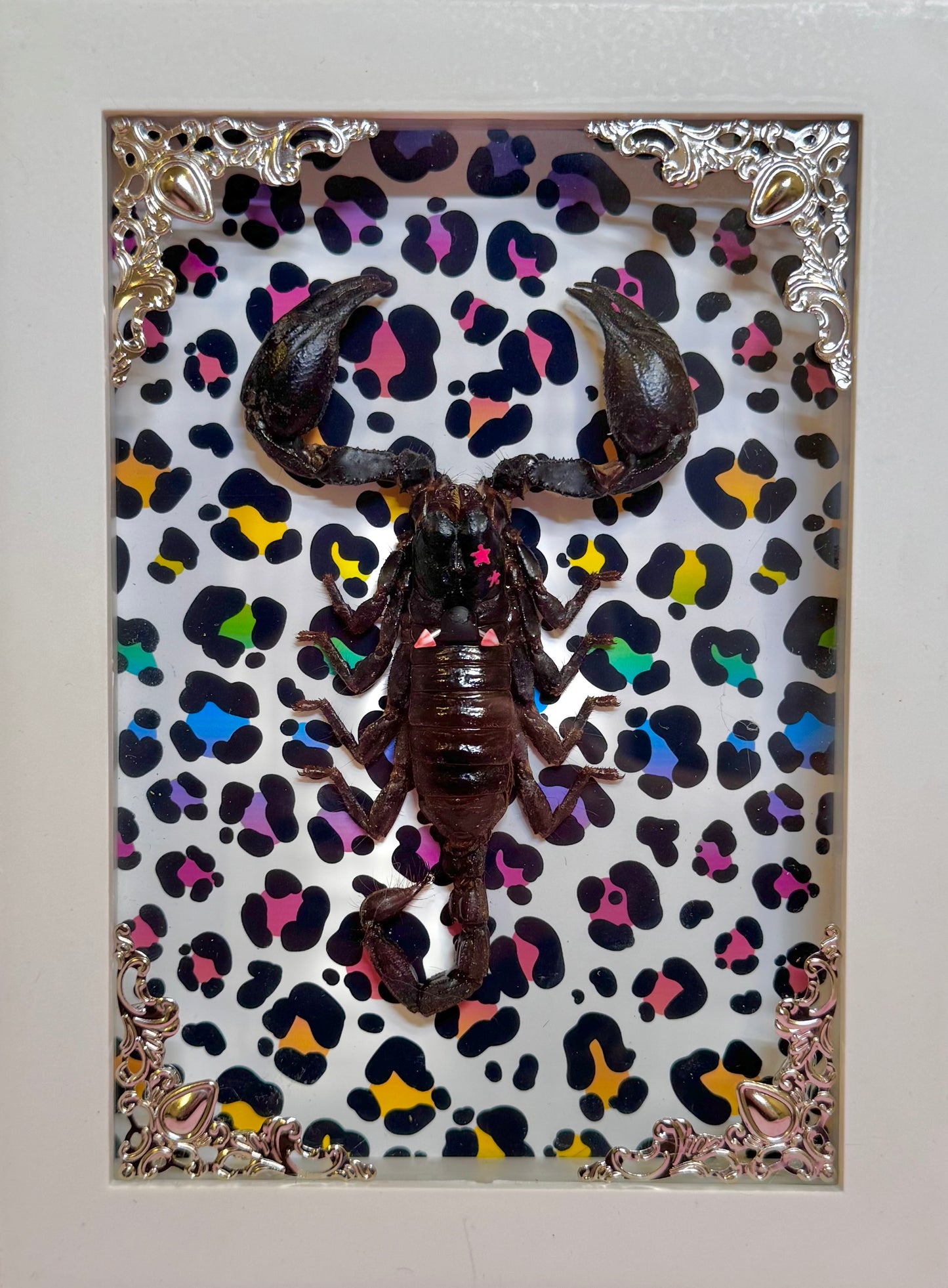 Scorpion On Lisa Frank Inspired Rainbow Cheetah Print