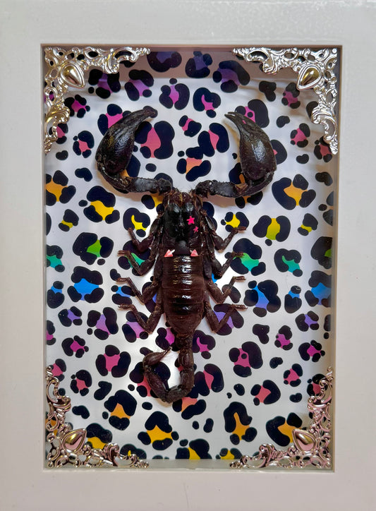 Scorpion On Lisa Frank Inspired Rainbow Cheetah Print