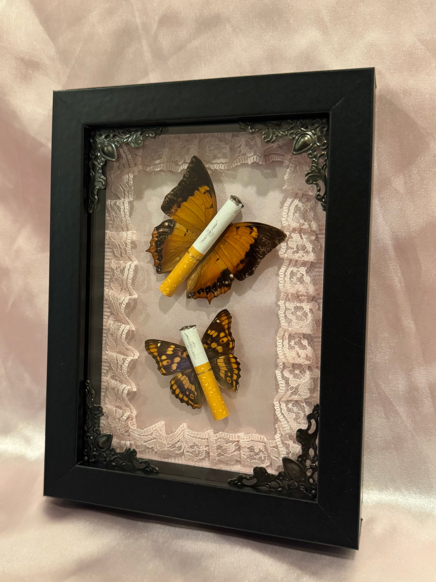 Ciggie Butterflies - Pink With Lace