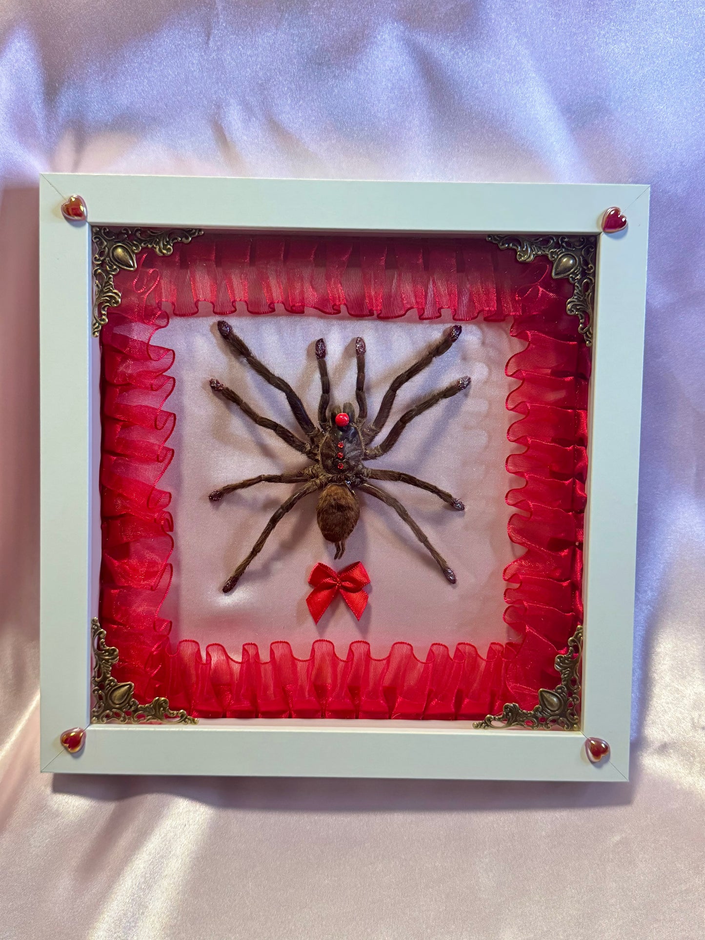 Clown Tarantula | Baby Pink and Red In White Frame