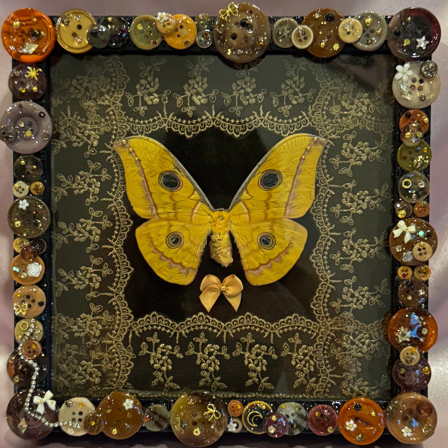 Japanese Silk Moth Button Baby