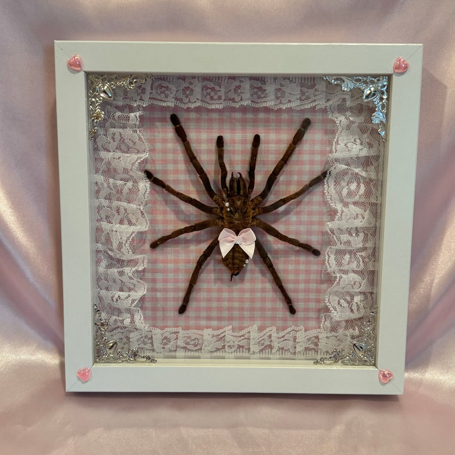 Tarantula on Pink Gingham