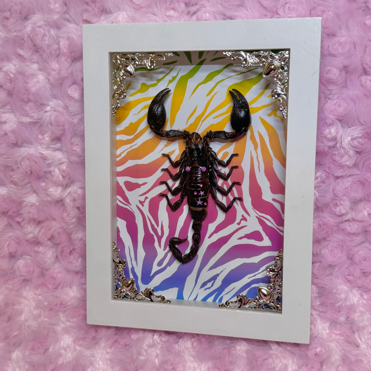 Scorpion On Lisa Frank Inspired Zebra Print