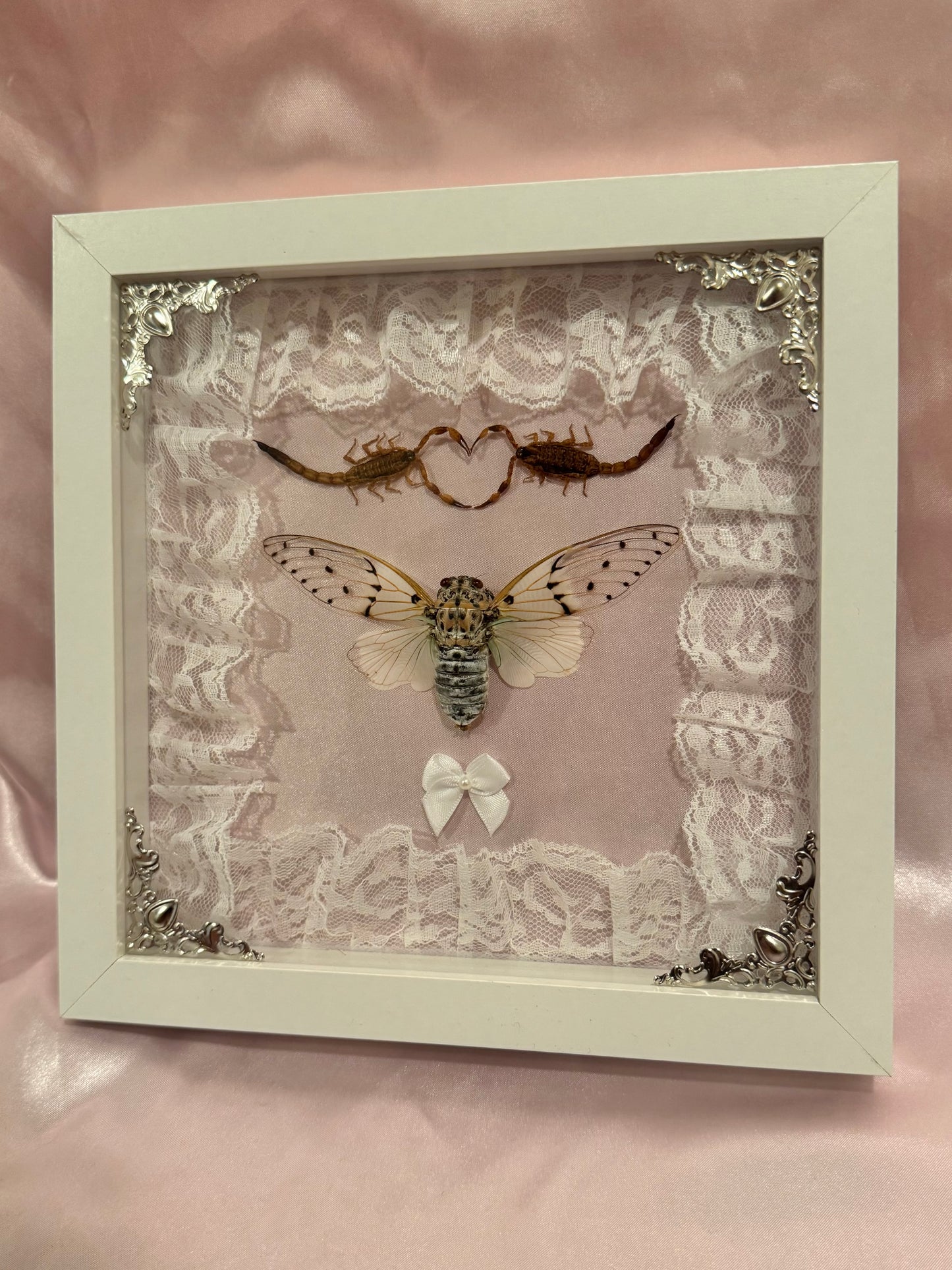 White Ghost Cicada & Scorpion Lovers