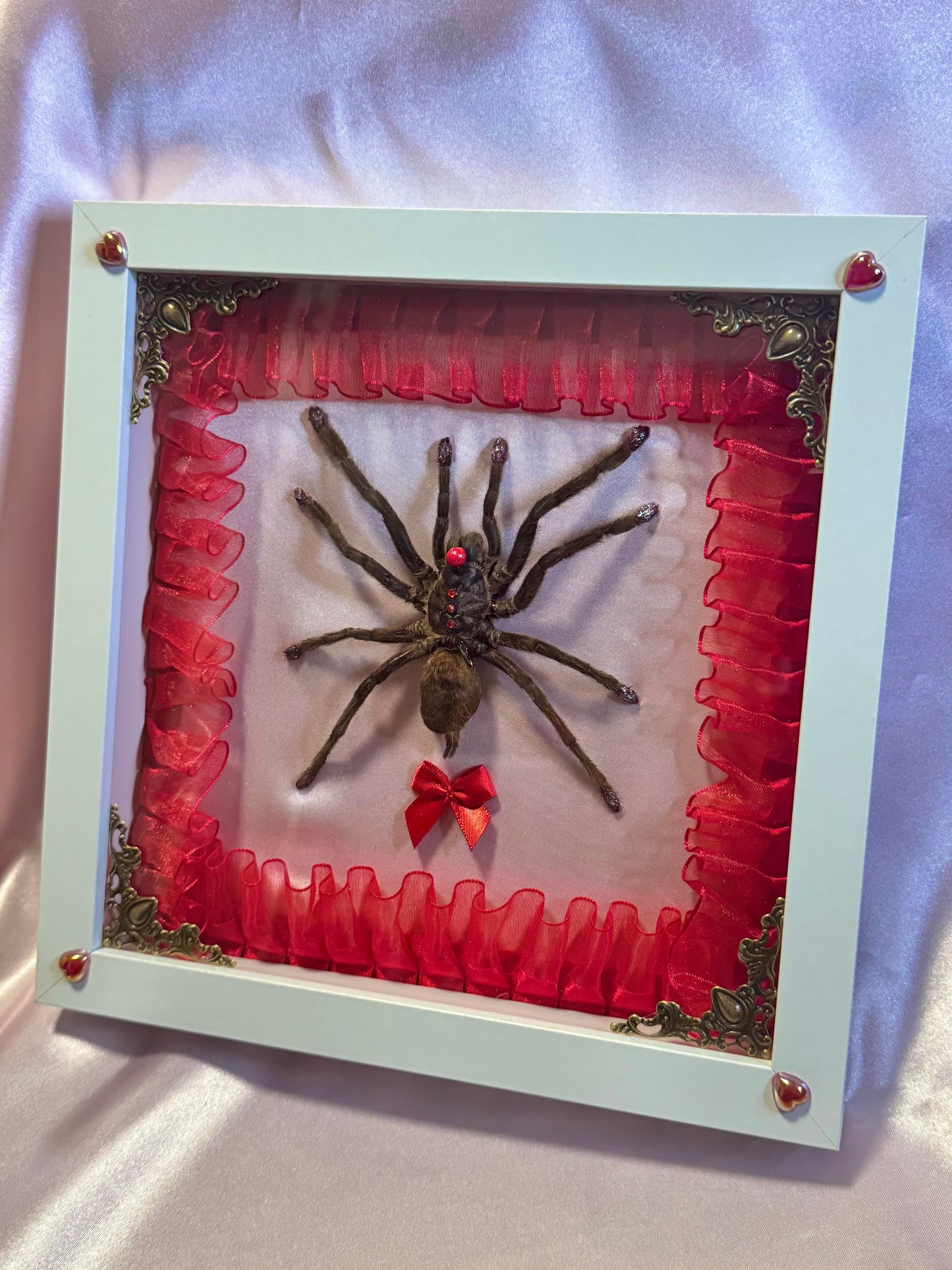 Clown Tarantula | Baby Pink and Red In White Frame