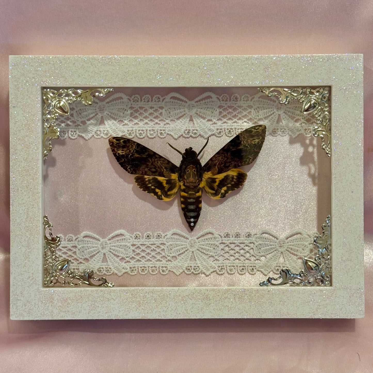 Death Moth on Pink Silk - Sparkle Frame