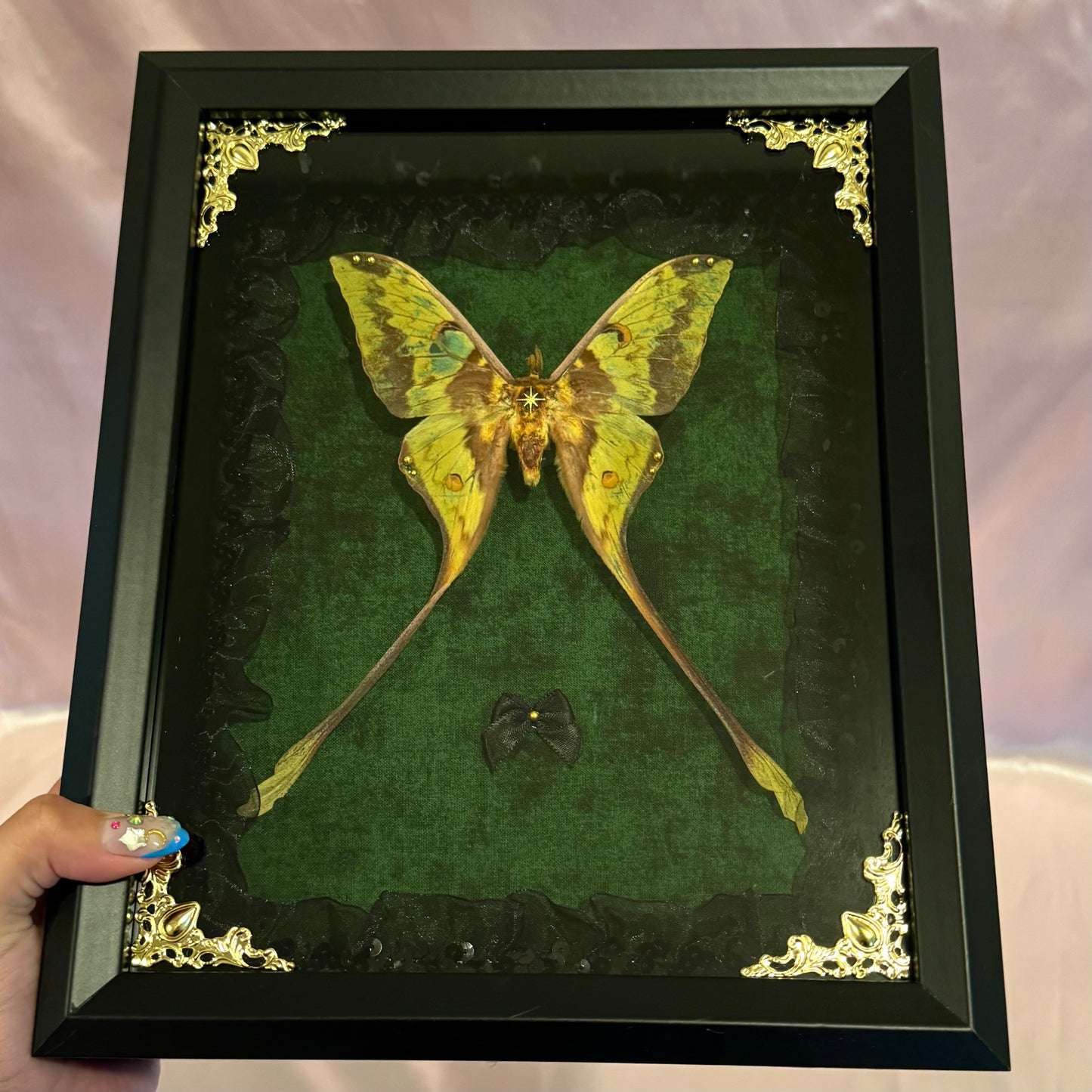 Comet Moth on Green - Black Frame