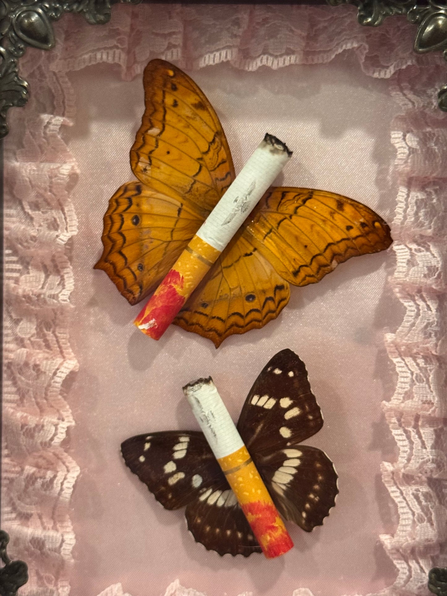 Lipstick Ciggie Butterflies - Lacey Pink InBlack Frame