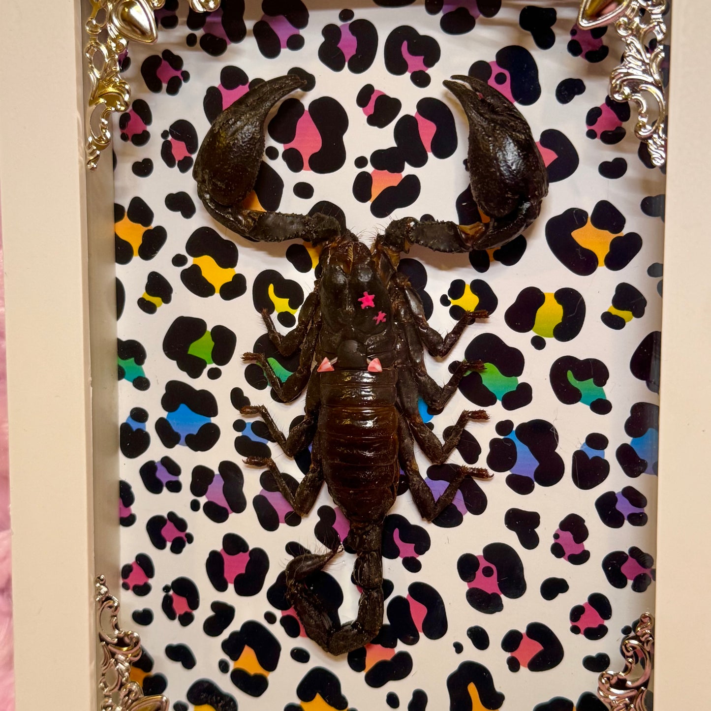 Scorpion On Lisa Frank Inspired Rainbow Cheetah Print