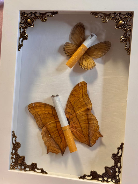 Butterfly Ciggies on White