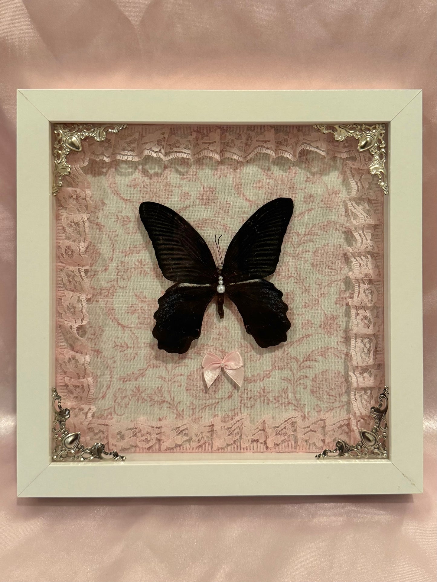 Ascalaphus Swallowtail On Pink