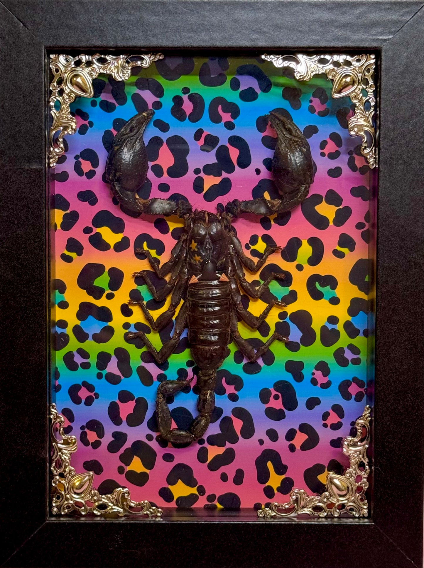 Scorpion On Lisa Frank Inspired Rainbow Cheetah Print