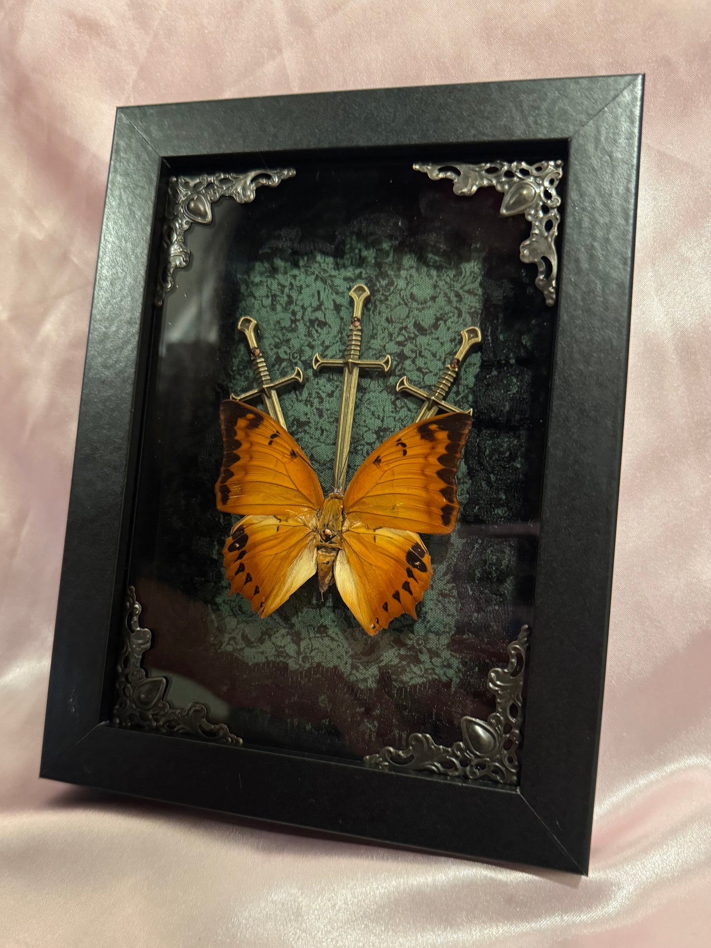 Three Of Swords - Cruiser Butterfly