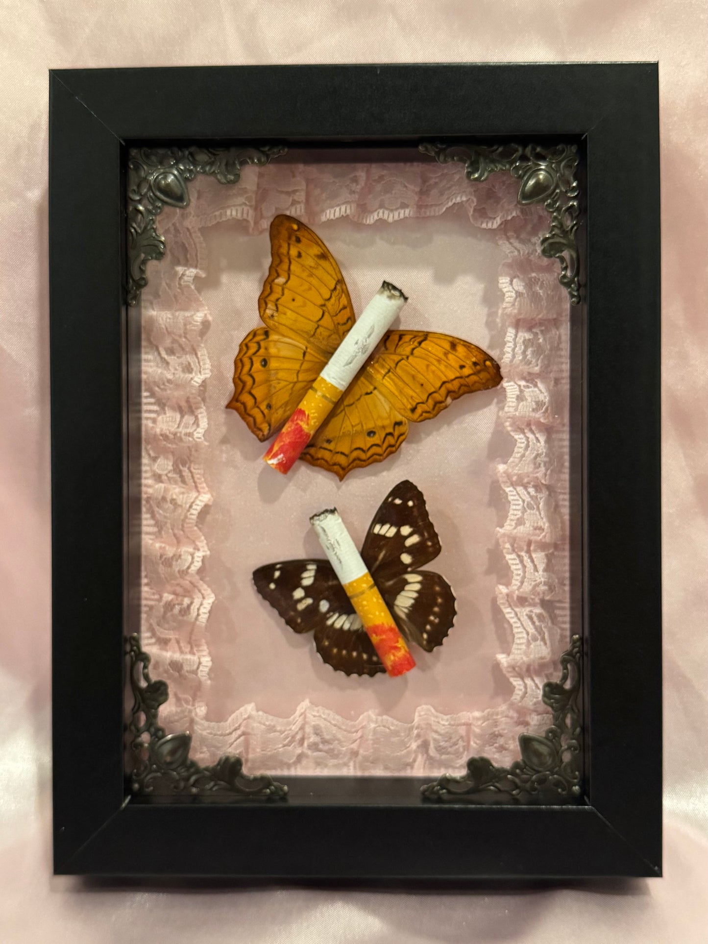 Lipstick Ciggie Butterflies - Lacey Pink InBlack Frame