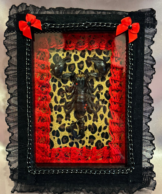 Scorpion on Cheetah Print