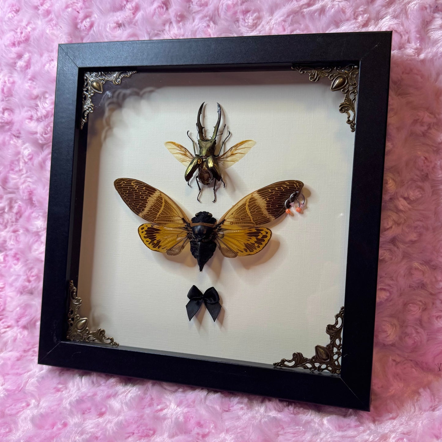 Beetle & Cicada Pierced Duo