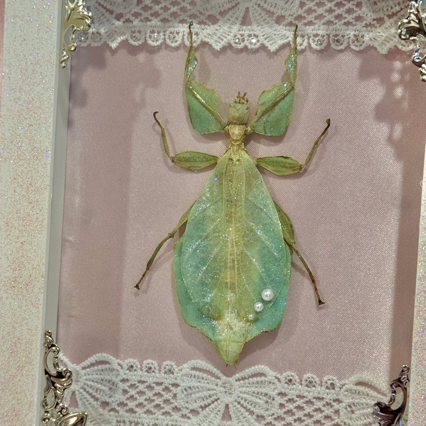 Sparkle Green Leaf Insect on Pink Silk - Sparkle Frame