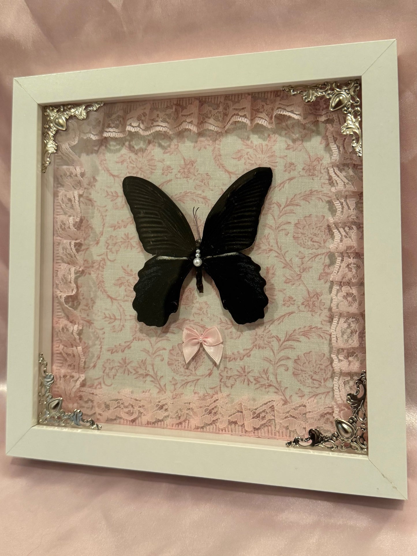 Ascalaphus Swallowtail On Pink