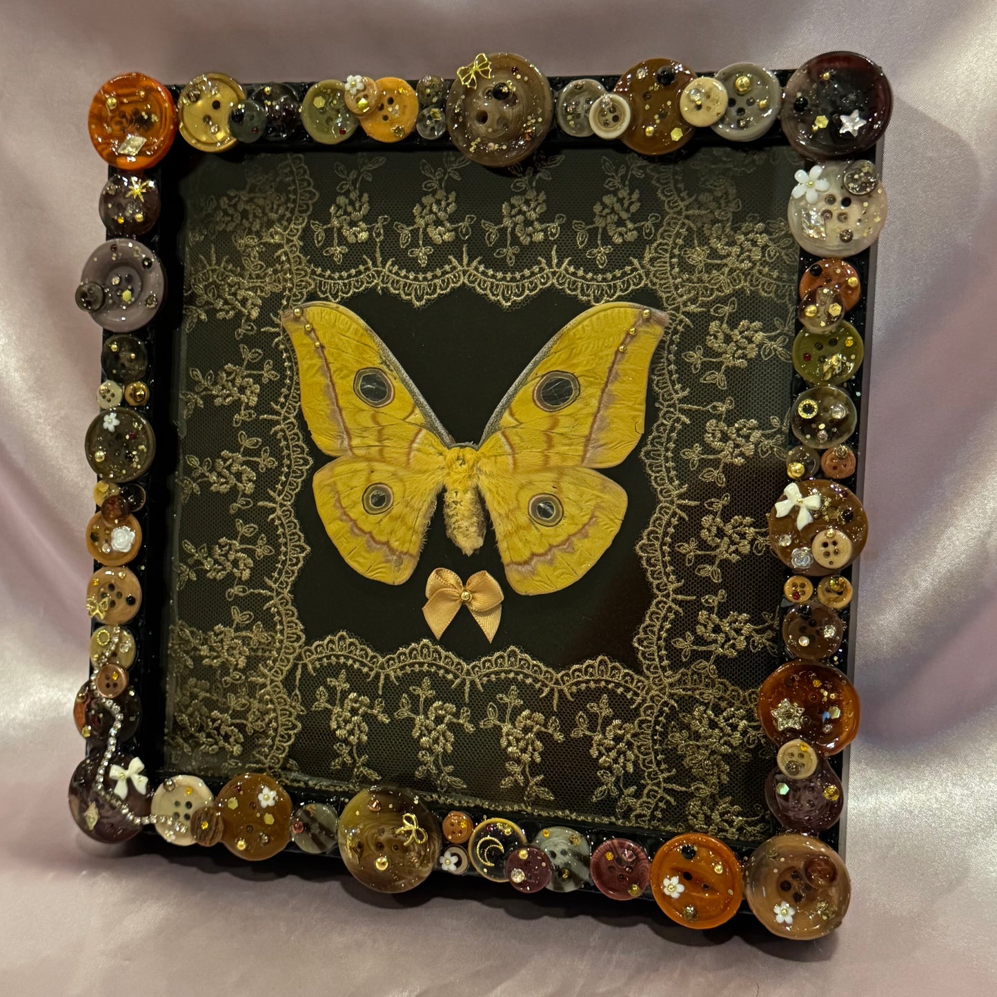 Japanese Silk Moth Button Baby