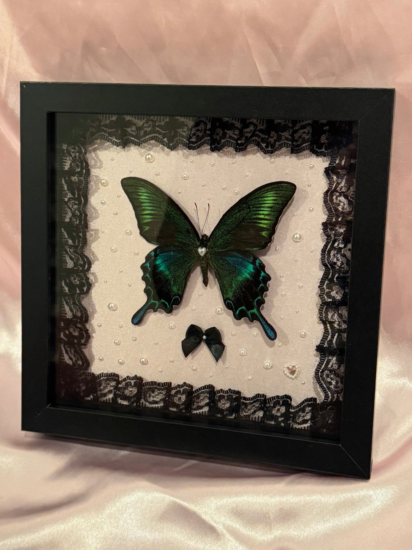 Alpine Black Swallowtail On Pearly Pink