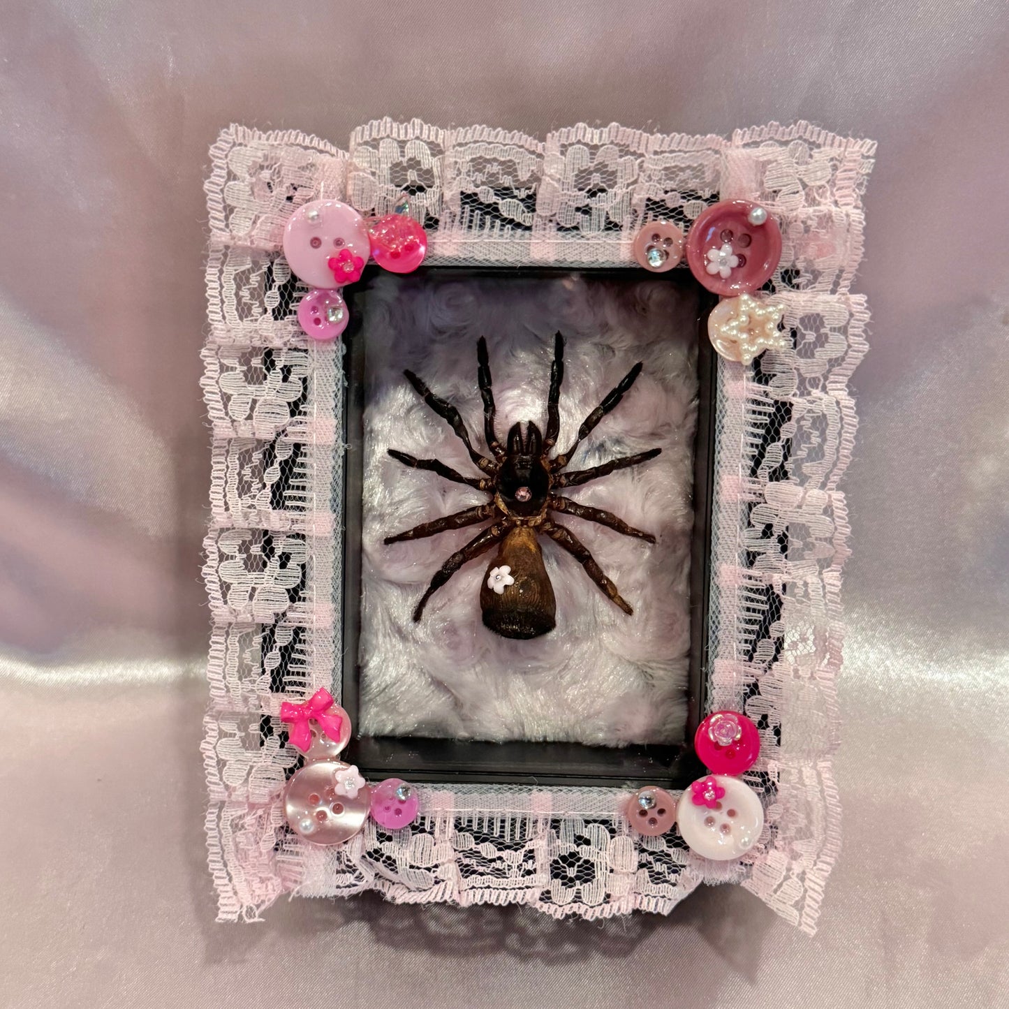 Trapdoor Spider - Pink on Pink on Pink