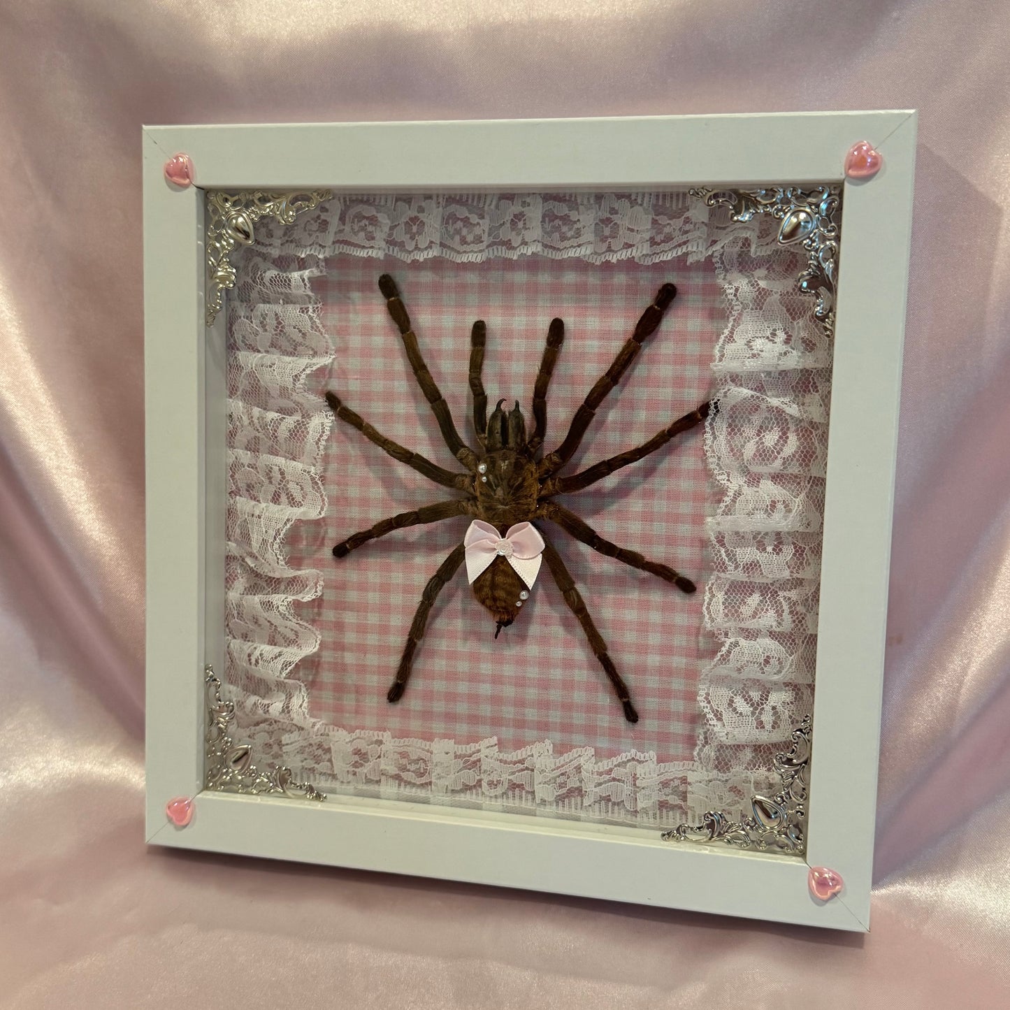 Tarantula on Pink Gingham