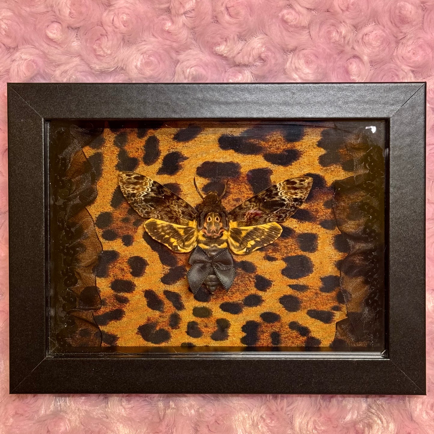 Death Moth on Cheetah Print