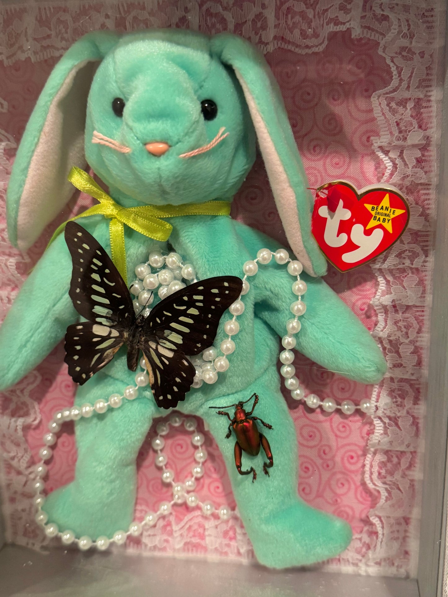 Beanie Bear, Veined Jay & Leaf Beetle