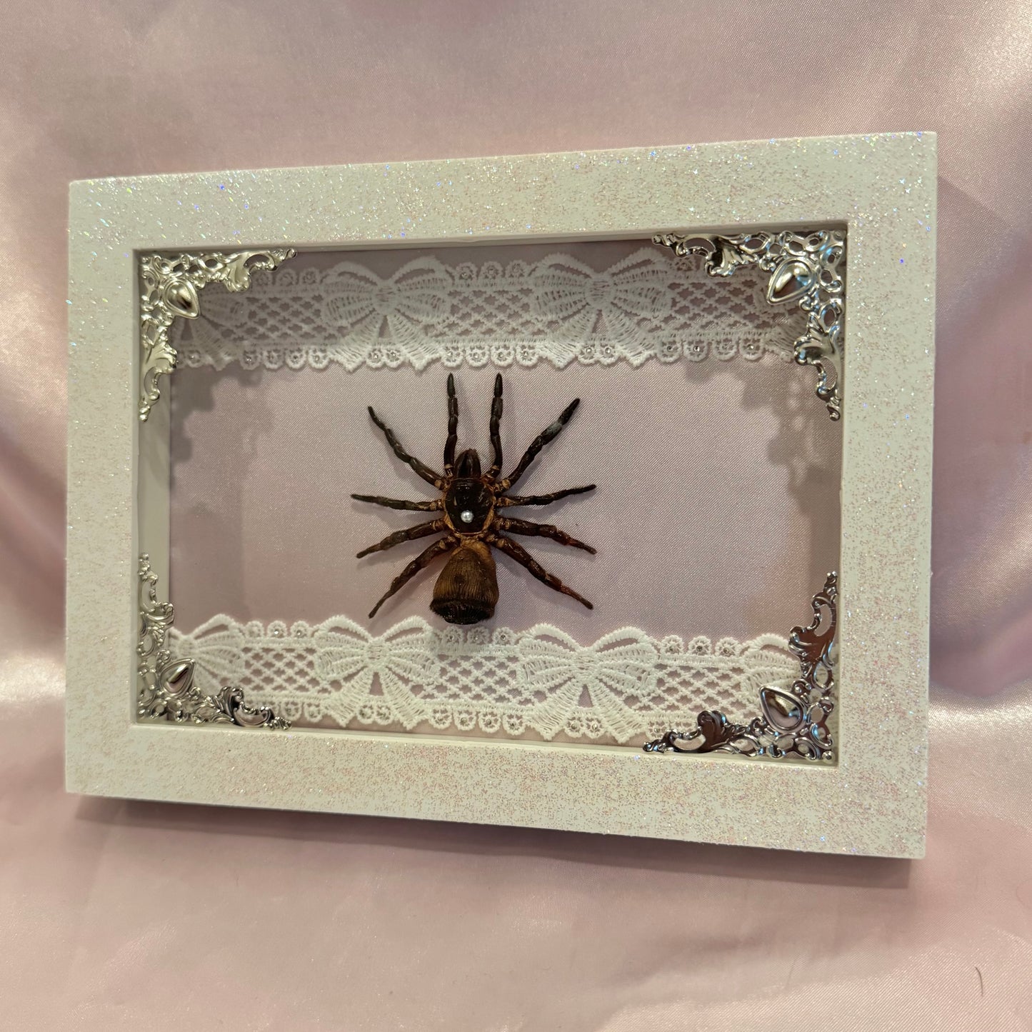 Trapdoor Spider on Pink Silk - Sparkle Frame