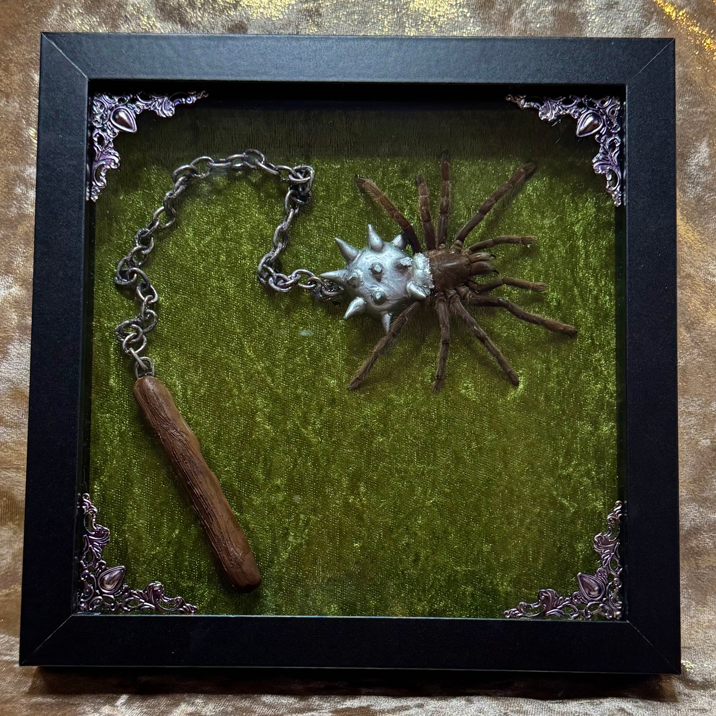 The Flail Tarantula