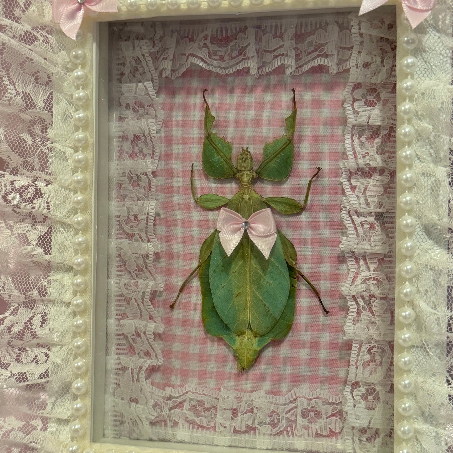 Green Leaf Insect on Pink Gingham With Lace