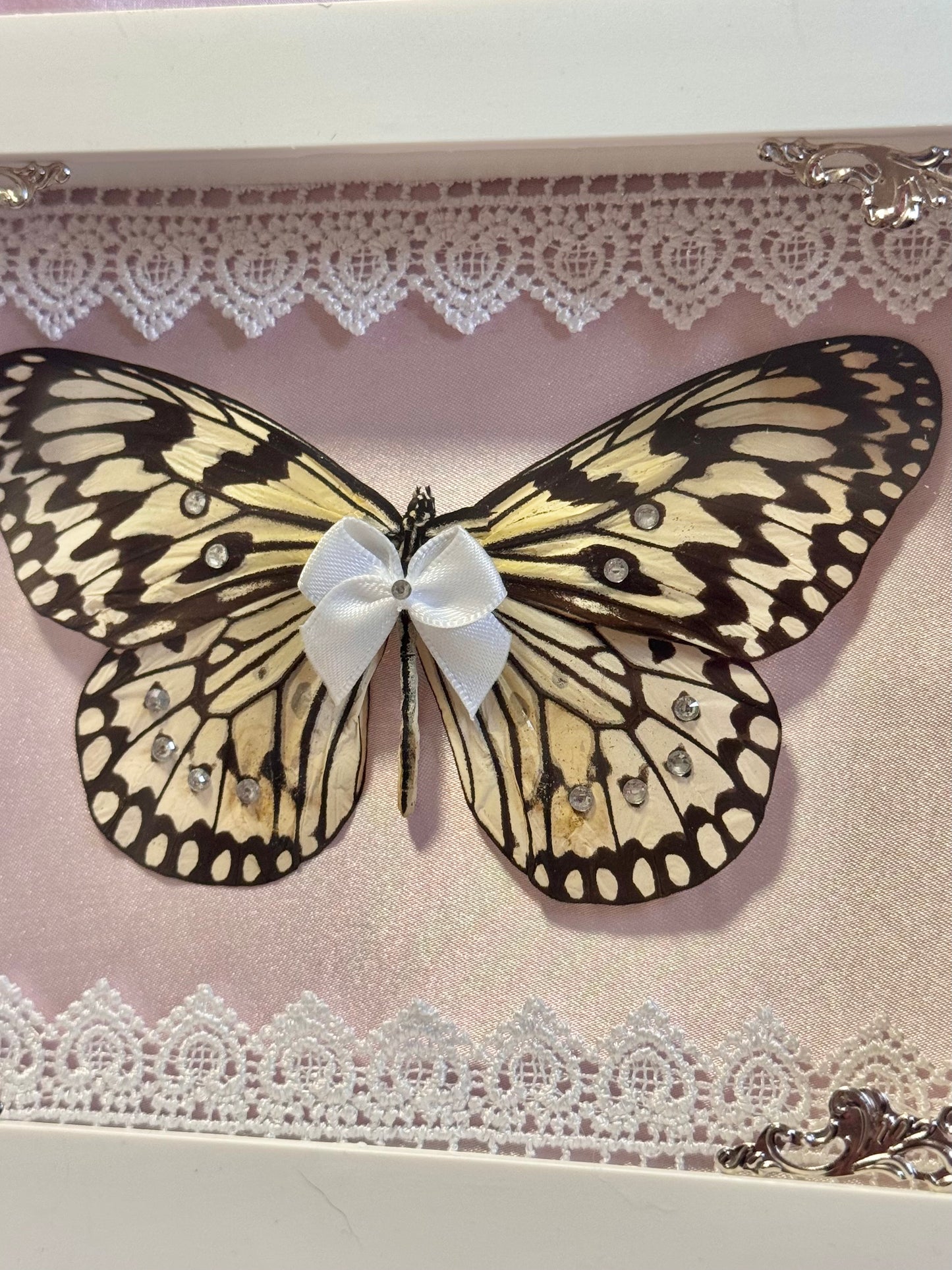 Paper Kite Butterfly