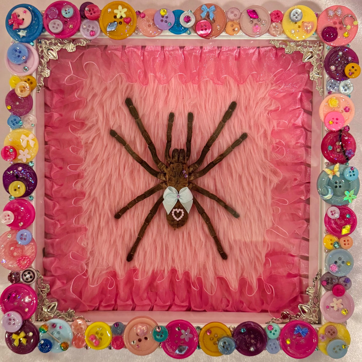 Tarantula on Fur Button Baby