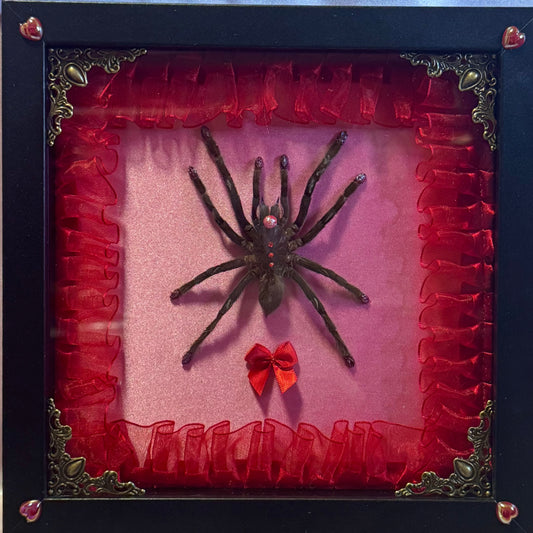 Clown Tarantula | Pink and Red In Black Frame