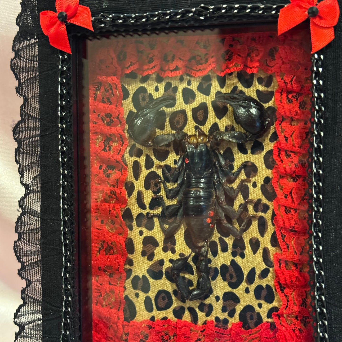 Scorpion on Cheetah Print