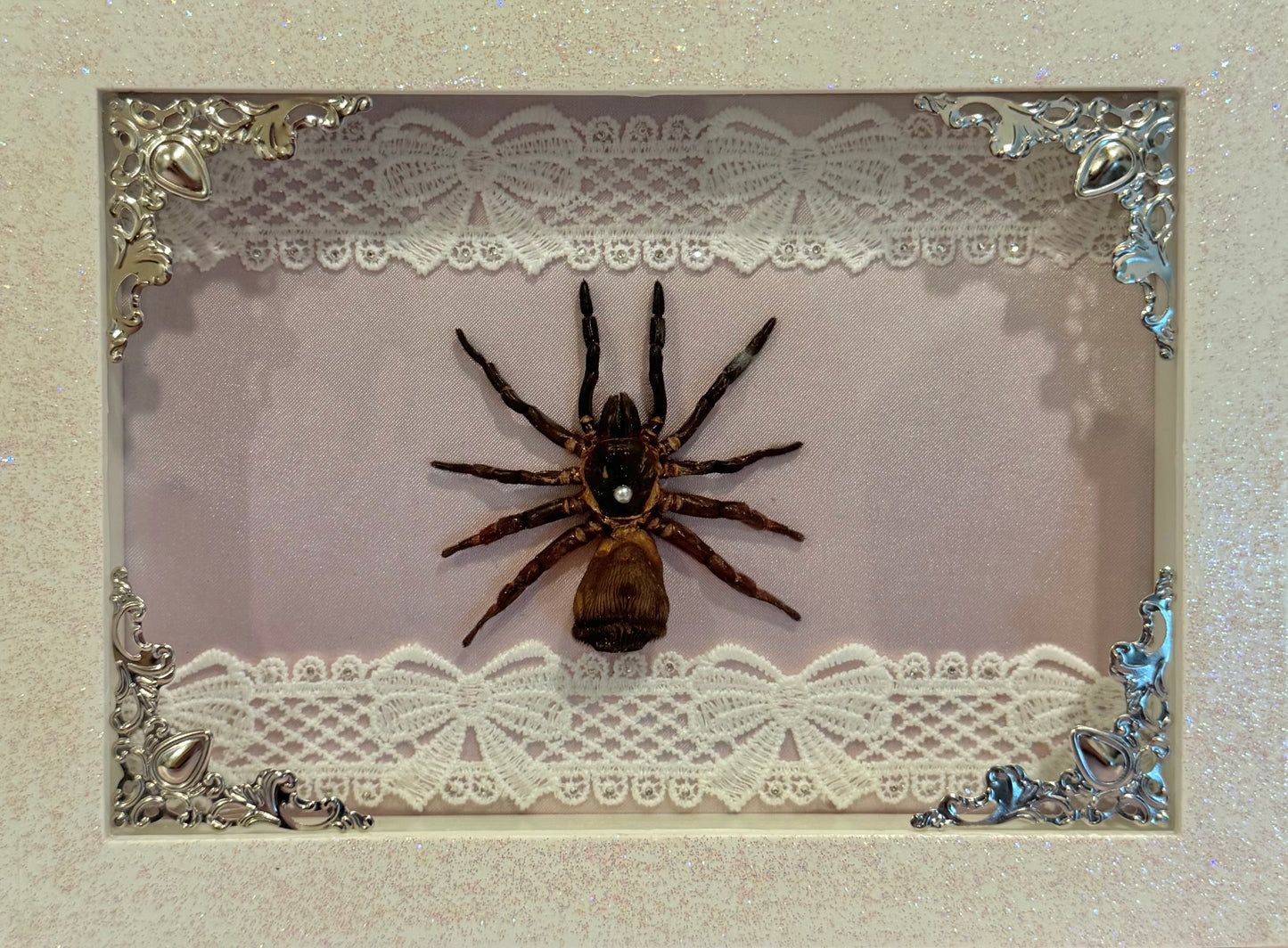Trapdoor Spider on Pink Silk - Sparkle Frame