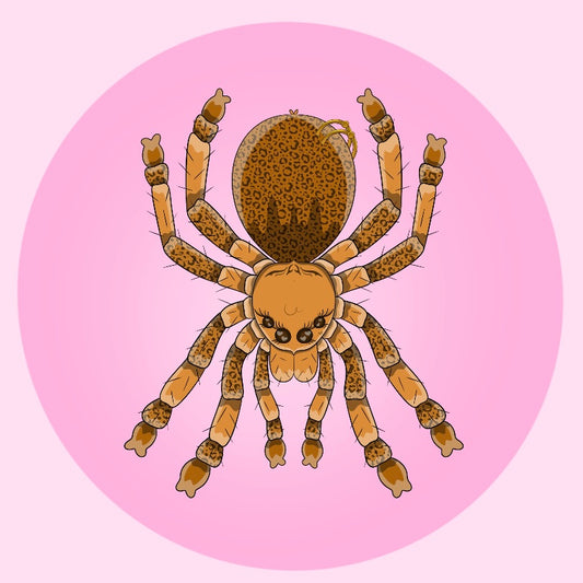 Cheetah Print Tarantula Pin
