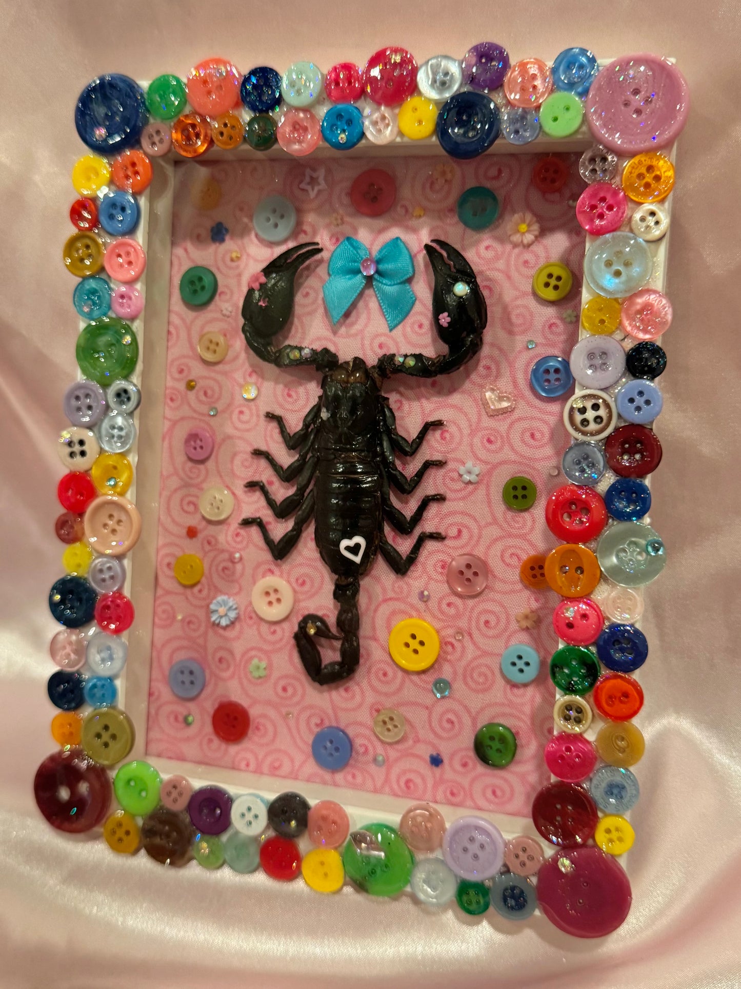 Button Baby Scorpion