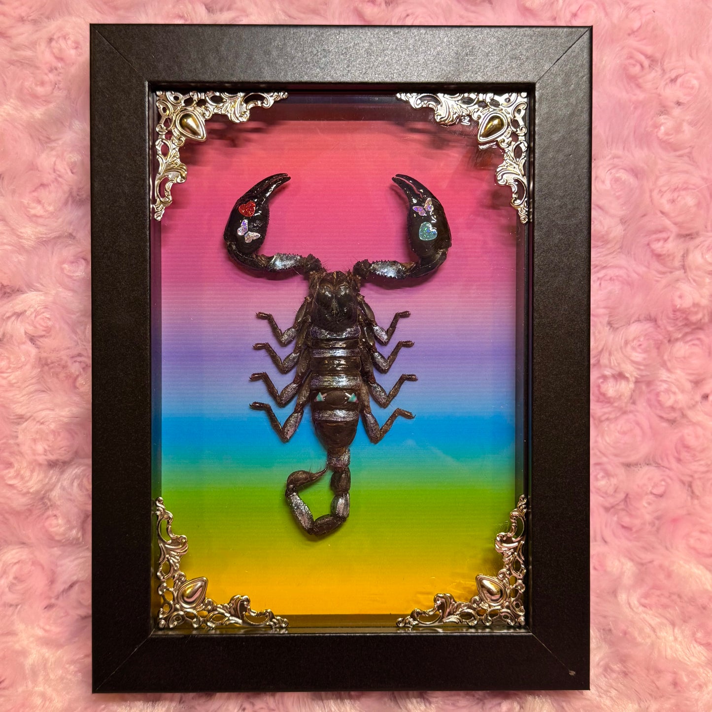 Scorpion On Lisa Frank Inspired Rainbow Print
